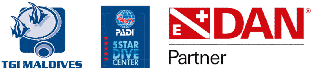 TGI Maldives